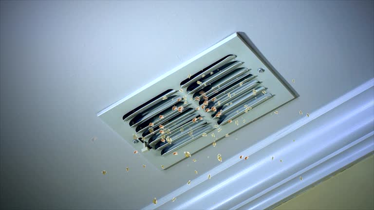 Best Air Duct Cleaning Company Near Me  in Navarre Beach, FL